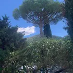 Mas De Saint Tropez Gigaro Сasa de vacaciones