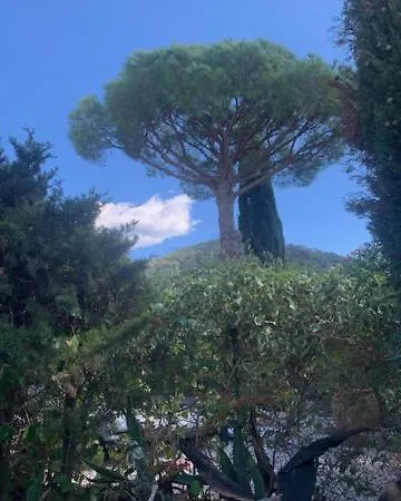 Mas De Saint Tropez Gigaro Holiday home